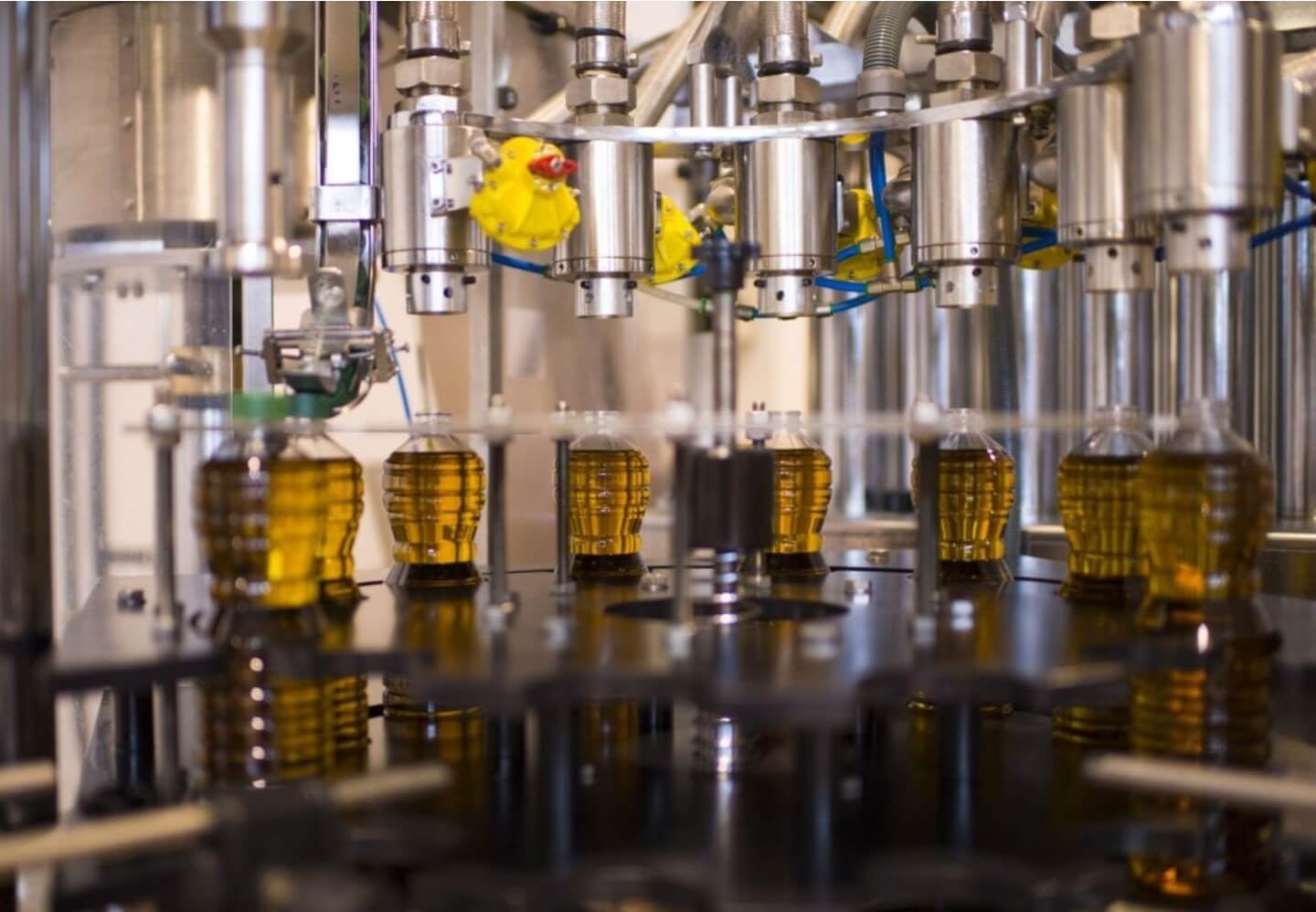 Sada Oils